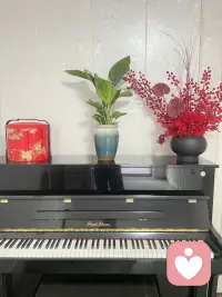 今天是年初五了，一年一度的春节渐渐地越来越远了。