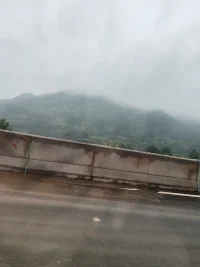 思而不語，念而不忘，想而不見，放而不舍，舍而不甘，愛而不得，得而不惜。終其一生，皆是遺憾！配圖