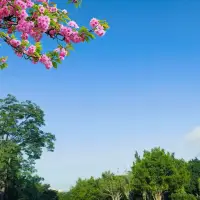 疲憊的生活總要有一些溫柔的夢想。配圖