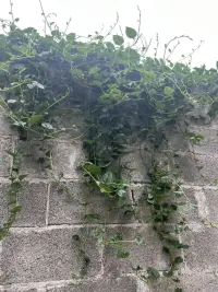 我最终停止纠缠你的原因 ，是我反复确认了很多次 (✋¯ㅂ¯)你不是嘴硬 ，是真的不喜欢我了 ！！！
多少人处于这种状态里呢？