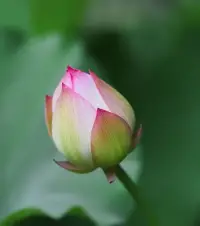 人這一輩子，該翻篇時不翻篇，就像背著石頭過河，遲早要被壓垮，翻篇還有個名字，叫時來運轉。??配圖