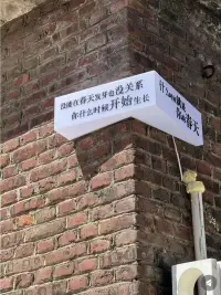 你什么時候開始生長
什么時候就是你的春天??配圖