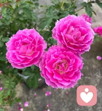 內心有力量，世界才不會荒蕪配圖