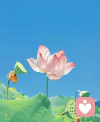 同頻率的人像禮物 ，懂分寸的人更長久配圖
