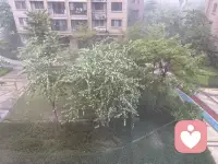 這雨下得不是一般的大??配圖