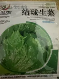 種生菜試試，看看我能不能種出來，哈哈哈??