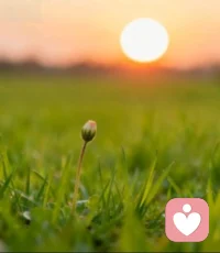 ?今天的你已經(jīng)盡力了，這就足夠了  —— 對自己溫柔一點，你遠比想象中更值得被肯定。配圖