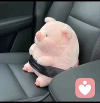 上了生活的賊船，就做快樂(lè)的海盜。配圖