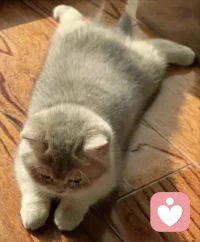  你不必事事都做到完美，允许自己偶尔的偷懒和软弱。配图