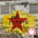 陽光的頭像