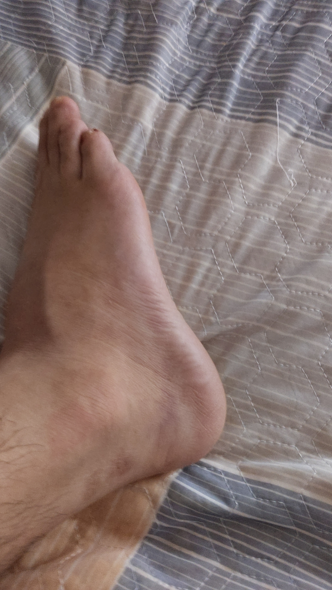 王八的回答圖片