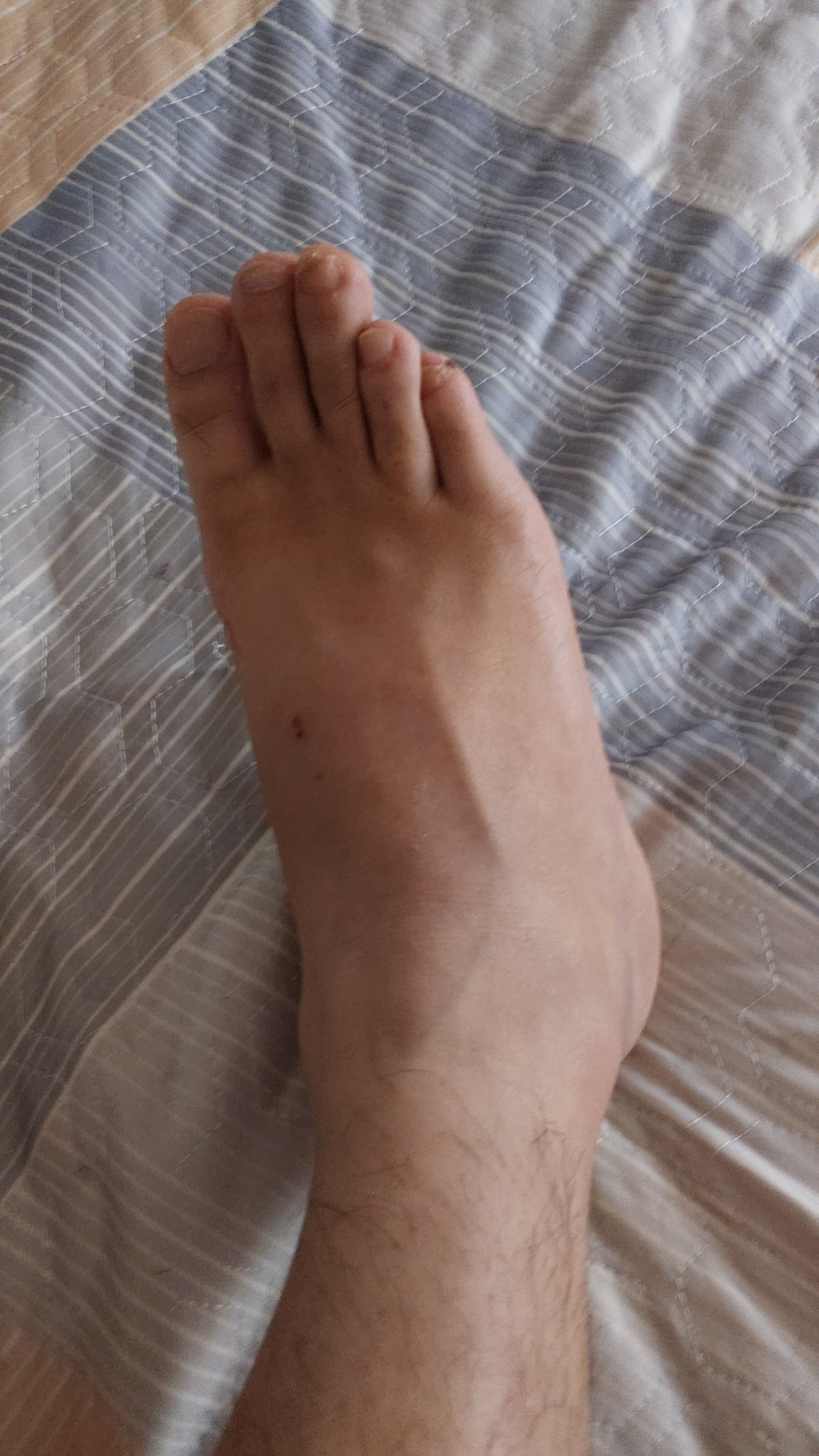 王八的回答圖片