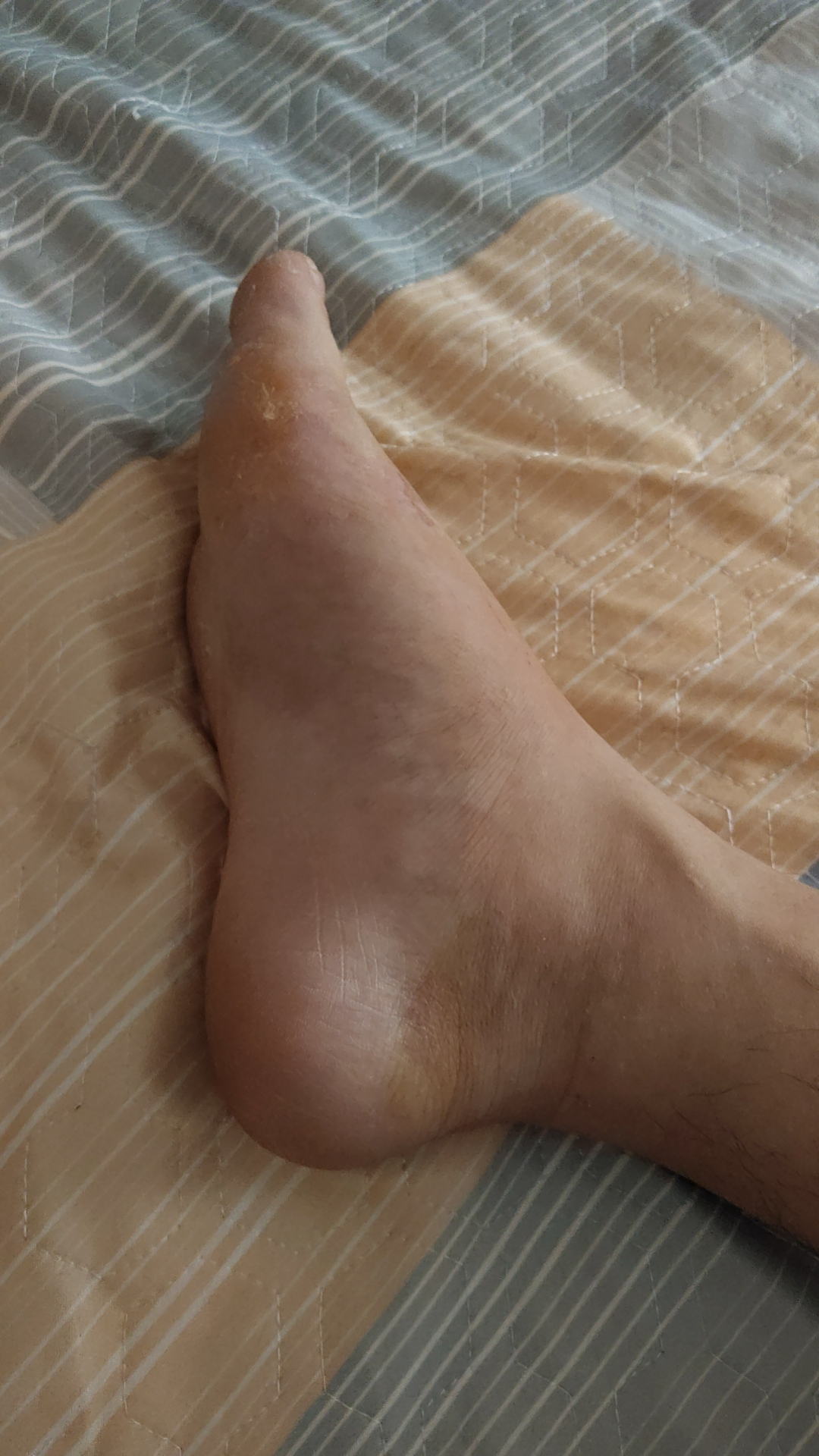 王八的回答圖片