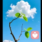 暖阳的头像