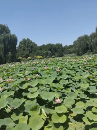 我们终其一生，都在寻找两样东西，
一个是价值感，另一个是归属感，
价值感来自于被肯定而归属感源于被爱
人生不是靠心情活着，而是用心态活着