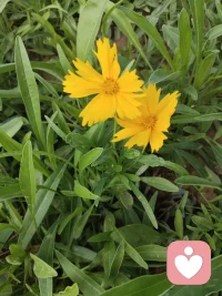 當(dāng)你渴望某種東西時(shí)，整個(gè)宇宙都會(huì)協(xié)助你實(shí)現(xiàn)愿望。配圖