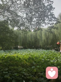 杨绛：“总有yi天你会明白，任何关系到蕞后只是相识一场，大家也都是阶段性的陪伴，那些你放不下的人和事，到蕞后岁月都会替你去轻描淡写。”