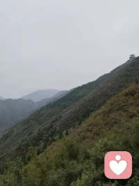 你不可能同时拥有春花和秋月，不可能同时拥有硕果和繁花，

不可能所有的好处都是你的。你要学会权衡利弊，学会放弃一些什么，

然后才有可能得到些什么。你要学会接受命的残缺和悲哀，然后，心平气和。