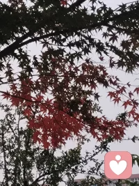 “你的存在本身就是值得被愛、被尊重，不需要不斷付出、事事完/美”配圖