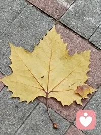 如果悲傷，就給自己足夠悲傷的時(shí)間，釋放自己的情緒并不是一件錯(cuò)誤的事情”配圖