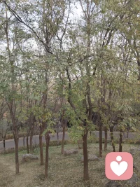 真正能給你撐腰的，是豐富的知識儲備，足夠的經(jīng)濟(jì)基礎(chǔ)，持續(xù)的情緒穩(wěn)定，可控的生活節(jié)奏，和那個打不敗的自己。”配圖