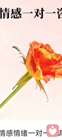 像尊重光明一样尊重黑暗，这样你才能照亮自己的黑暗——正视内心的脆弱与不足，才能实现真正的自我成长。