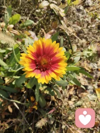 ⚡️凡是你抗拒的，都会持续，这些负面情绪就像黑暗一样，你驱散不走它们，你唯Yi可以做的就是带进光来，光出现了，黑暗就消融了，这是千古不变的定律。
⚡️亲爱的，外面没有别人，所有的外在事物都是
你内在投射出来的结果。
——张德芬《遇见未知的自己》