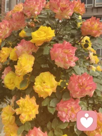 .陌生人欺负你，能让咱就让，转身即是陌路;熟人要是欺负你，立马反击，有一次就会有无数次配图