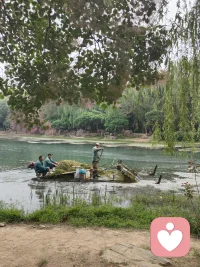 成年人最幼稚的行为，就是交心，
你交出多少秘密，
就有多少危险在等着你。配图