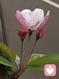 家庭的第一核心，
永远是经济，而不是感情。你把成家立业和贤妻良母倒过来念两遍什么都懂了。配图