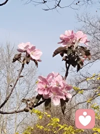 免费帮助别人，
就是在慢慢培养仇人，等价交换，
才是社会交际的长久之道。