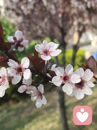 免费帮助别人，
就是在慢慢培养仇人，等价交换，
才是社会交际的长久之道。