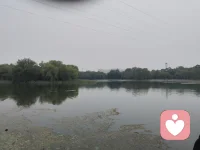 不要急着去享受那些
你能力还配不上的东西，更不要追逐
与能力不匹配的生活。