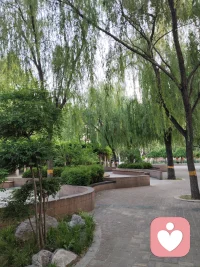 只有用金钱支持你的人，
才是最认可你的人，真心想帮你的人，
从来没有那么多废话。