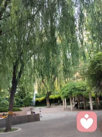 如果拜佛有用，那么你连庙门都进不去。如果种地能赚钱，那么农民将无地可种，如果勤劳能致富，即便出去挑个大粪，你也得请客送礼找关系。——郭德纲