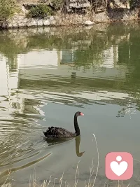 总觉得忍一忍之后就会好起来
真笨，人家不就是觉得 你会忍一忍
才这样对你的吗？