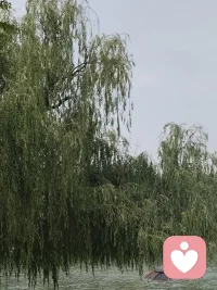 人总要咽下一些委屈，
然后一字不提地擦干眼泪继续往前走，
成长的代价，就是失去原来的样子。
没有人能像白纸一样没有故事，
其实早晚有一天你会明白，
人生除了生.死，
其他的都是擦伤罢了。配图
