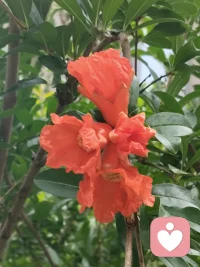 每个人都会有一段特别艰难的时光，
挺过来的，人生就会豁然开朗，
挺不过来的，
时间也会教你怎么与它们握手言和，
所以你不必害怕，
日升月落，总有黎明。配图