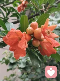 如果别人说你两句，你就受不了了 ，
被两句话，干扰的吃不好，睡不好，
那你想想，你得多脆弱呀，
何必计较呢？
在乌鸦的世界里，天鹅也有罪，
思想不在一个高度，尊重就好，
三观不在一个层次，微笑就好。配图