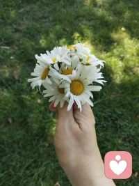 🌟 关于情感
一个人经历过不同层次的磨练，
才能获得不同层次的修养与效益。
就像香料，捣得越碎，磨得越细，香味就越浓烈。
