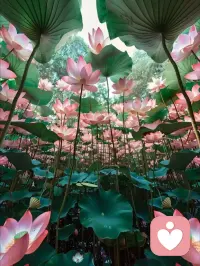 疗愈，不是变成更好的人，而是终于允许自己成为自己。