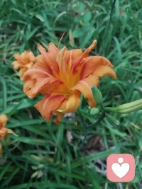 真正的治愈不是消除痛苦，而是有人陪着你在黑暗里坐一会儿。