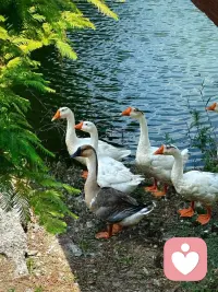 乞丐不会嫉妒百万富翁
但是他肯定会妒忌收入更高的乞丐