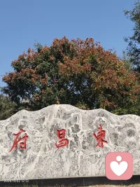 阳光明媚，风和日丽，万里无云，好天气。配图