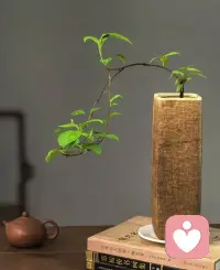 只要一直在变好，慢一点也没关系。配图