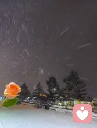 情绪稳定是大补❤️……我在的配图