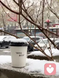 这世界很喧嚣，安静的做自己就好！配图