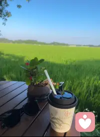 情绪稳定是大补 ❤️配图
