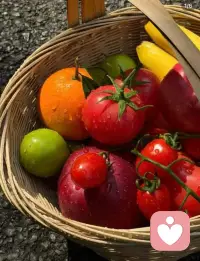 生活，一半助你，一半渡你。配图