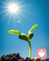 “花有花期，人有时运，只要在变好，慢一点又何妨。”配图